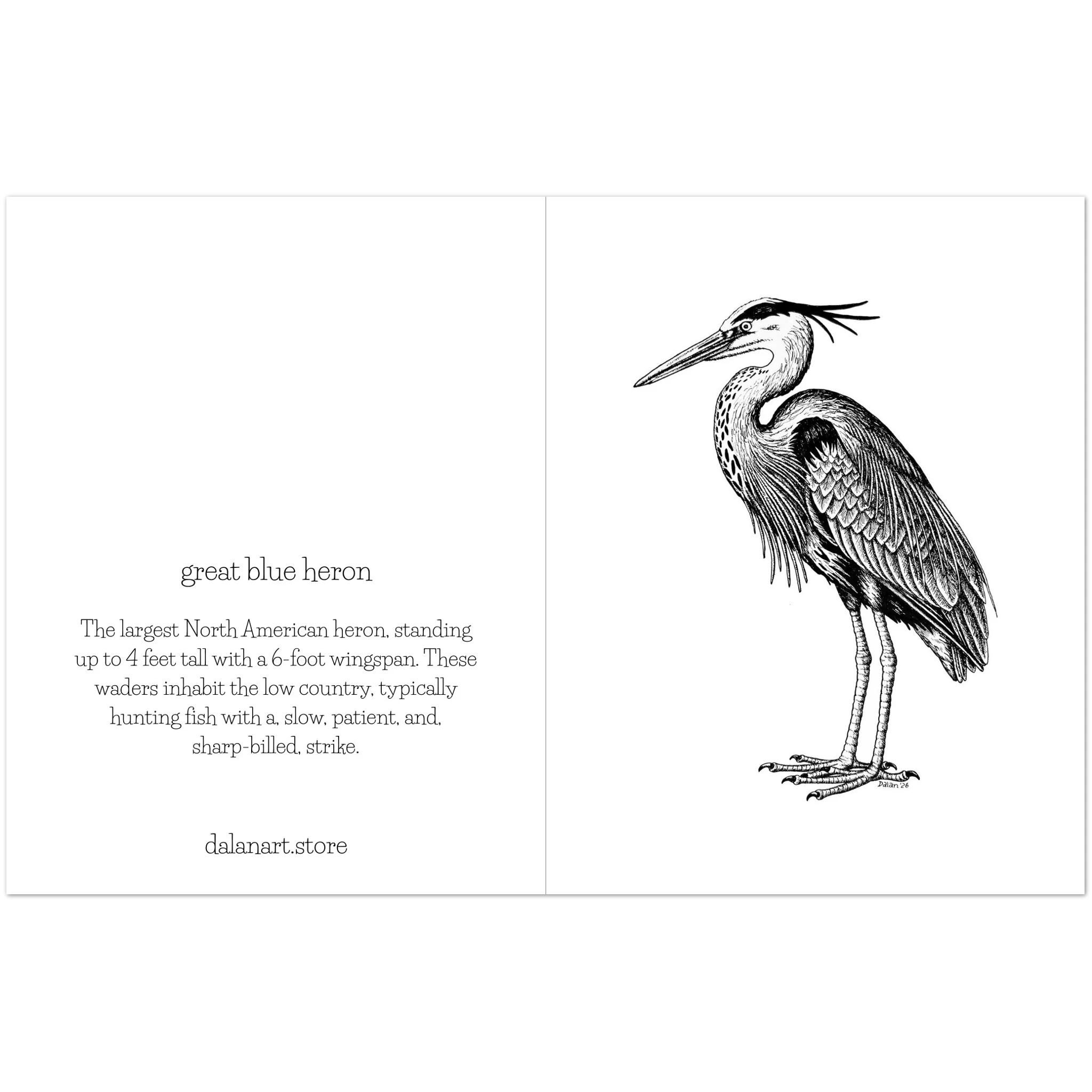 40db38b8-4324-4fb3-9986-d28bf026abeb