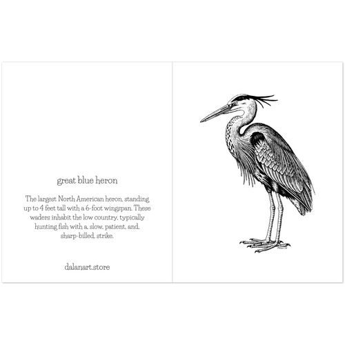 40db38b8-4324-4fb3-9986-d28bf026abeb