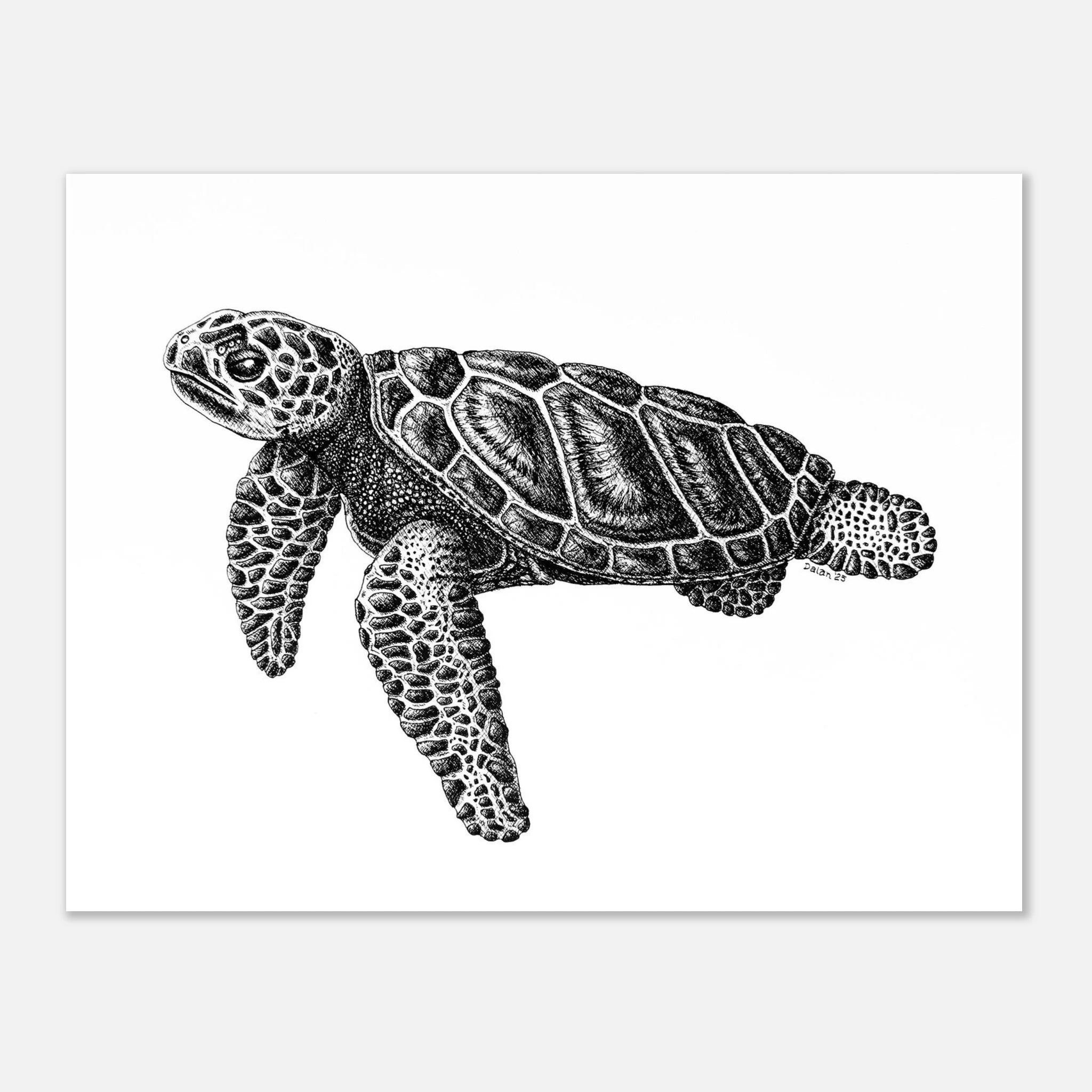 7636fd87-78df-42b5-8800-95e391175a2b